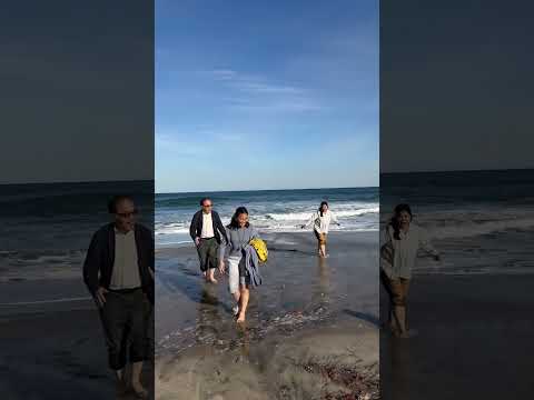 Don't ignore the wave, #pacificocean #hitachi #japanviews #seabeach