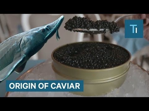 What Hides Behind the Luxury of Caviar