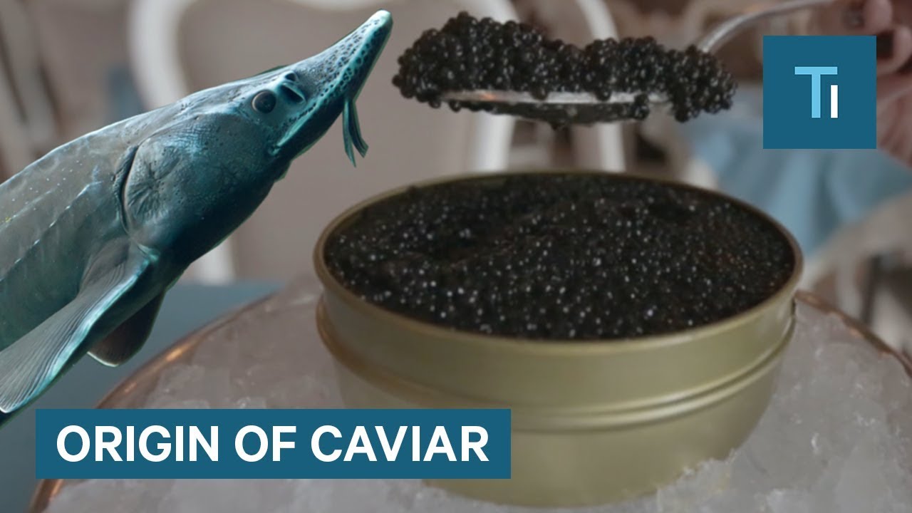 Why Is Caviar So Expensive?