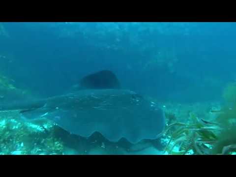 190126 parker and inner park  - Australia Day Bank Holiday