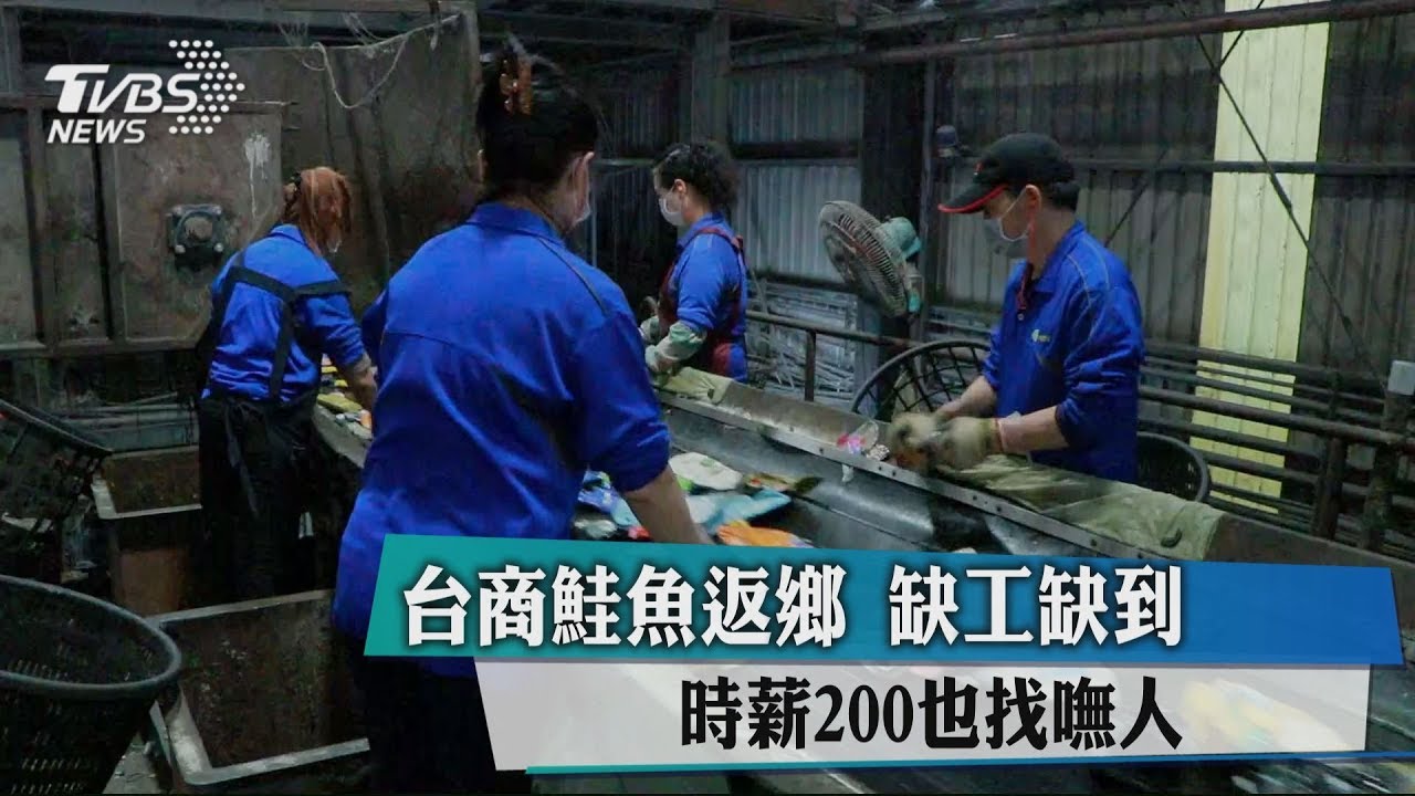 台商鮭魚返鄉　缺工缺到時薪200也找嘸人