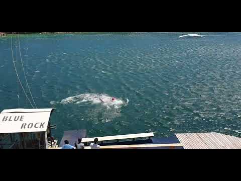 He makes is look so easy #bluerock