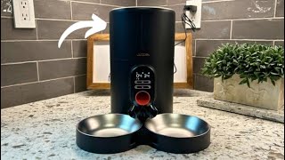 Best Automatic Cat Feeder In 2026? | WOPET Automatic Cat Fee