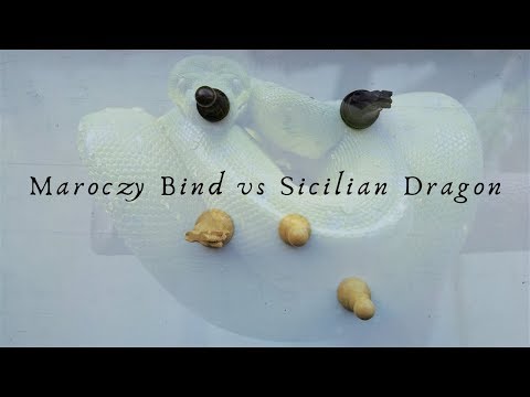 The Deadly Maroczy Bind | Training Game