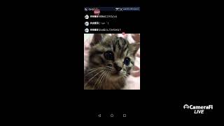 雑談でも('ω')