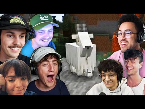 MEET THE SQUAD (baddiesmp 11)