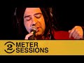 Counting Crows - High Life (2 Meter Sessions, 1999)