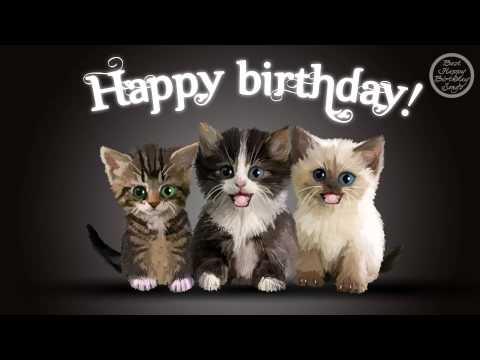 Happy Birthday cats