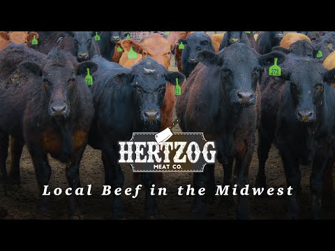 The Art of Meat Processing: A Look Inside a Local Plant