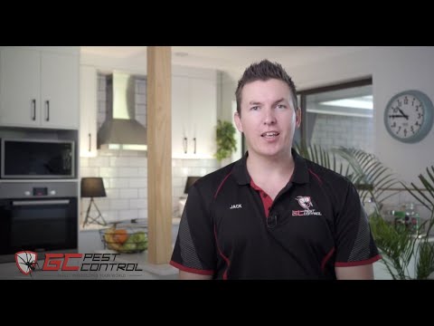 GC Pest Control - General Pest Control Services