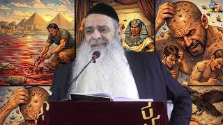 הרב רפאל זר | גאווה יהודית (פרשת וארא יהוד ) (הרב רפאל זר) - התמונה מוצגת ישירות מתוך אתר האינטרנט יוטיוב. זכויות היוצרים בתמונה שייכות ליוצרה. קישור קרדיט למקור התוכן נמצא בתוך דף הסרטון