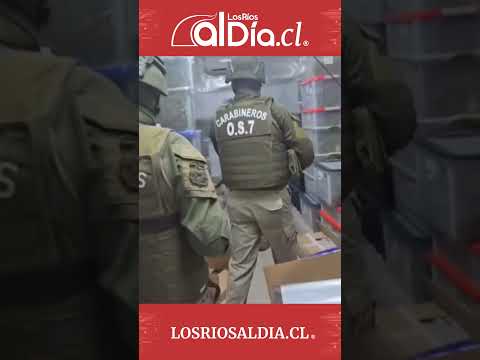Histórica incautación en Los Ríos: decomisan 536 kilos de marihuana y desarticulan banda criminal