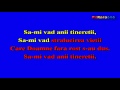 IRINA LOGHIN-Roata vietii KARAOKE 