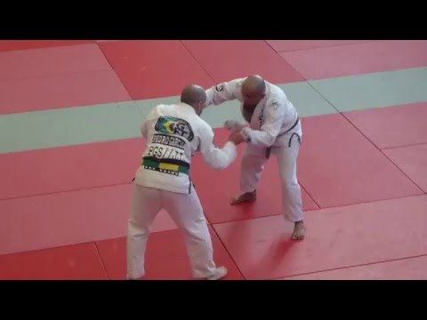 Susej Pontes vs Pedro Garcia - FINALS - IBJJF London Winter Open 2016 - Brown Master 2