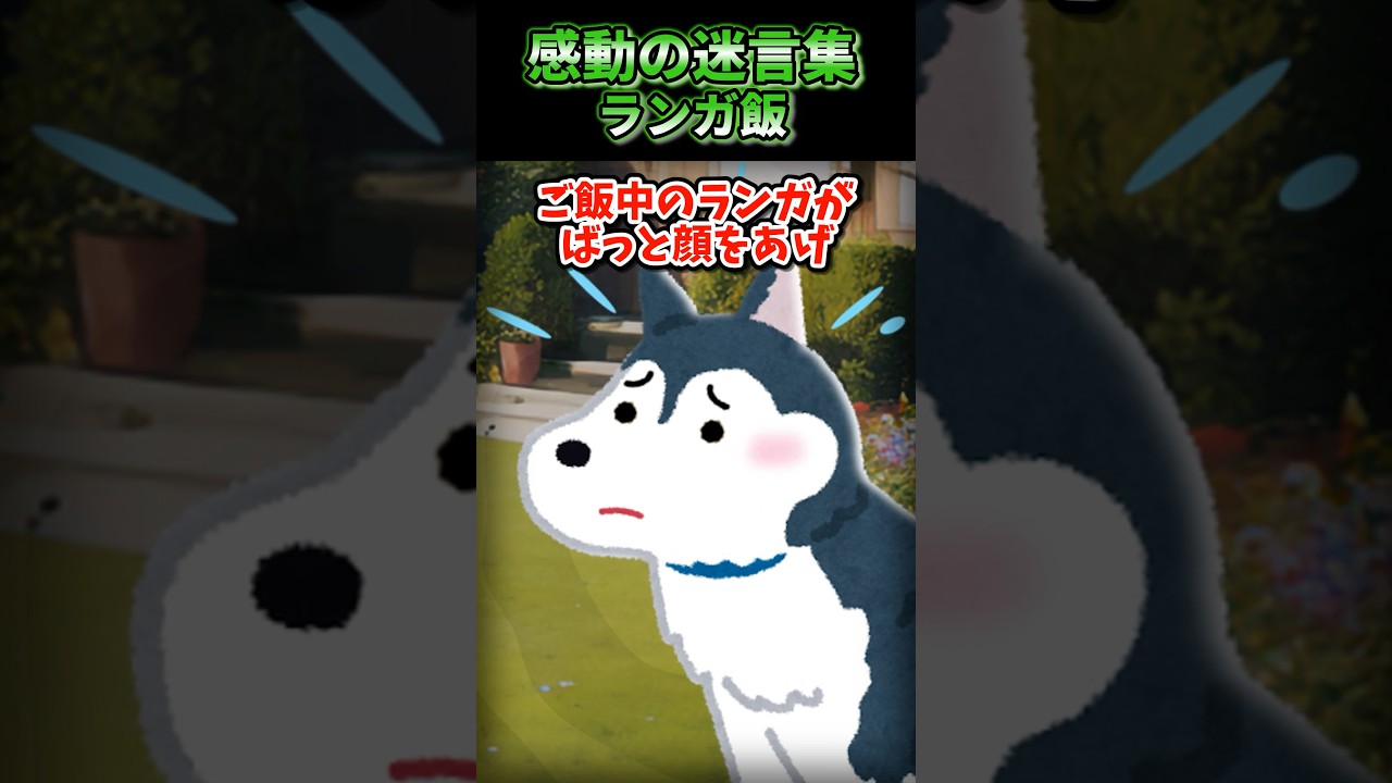 【感動】 ランガ飯 no