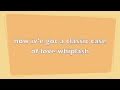 Jayme Dee- Love Whiplash [lyrics] 