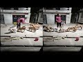 Street Dogs Ki Seva Seva Care Aur Pyaar Street Dog Ke Liya Amazing Street Dog Video Part 2