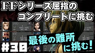 【FF9】最強の召喚士エーコが誰も見たことがない究極のデータを目指します（第30話～最後の難所）