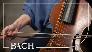 Download lagu The viola da gamba | Netherlands Bach Society mp3