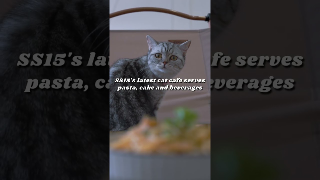 amber chamber cafe, subang jaya