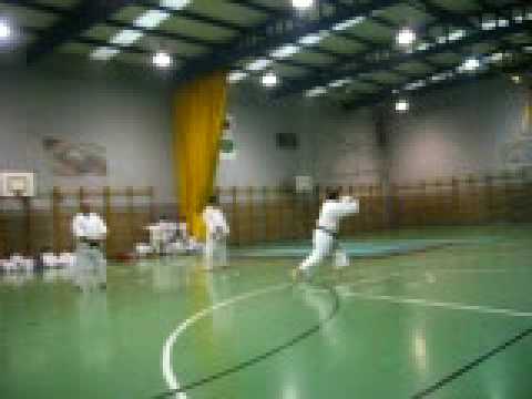 exhibición de la escuela de karate villamuriel