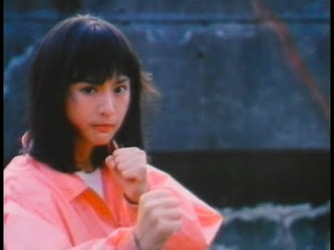 MOON LEE . The Best Fights Collection. ( HD )