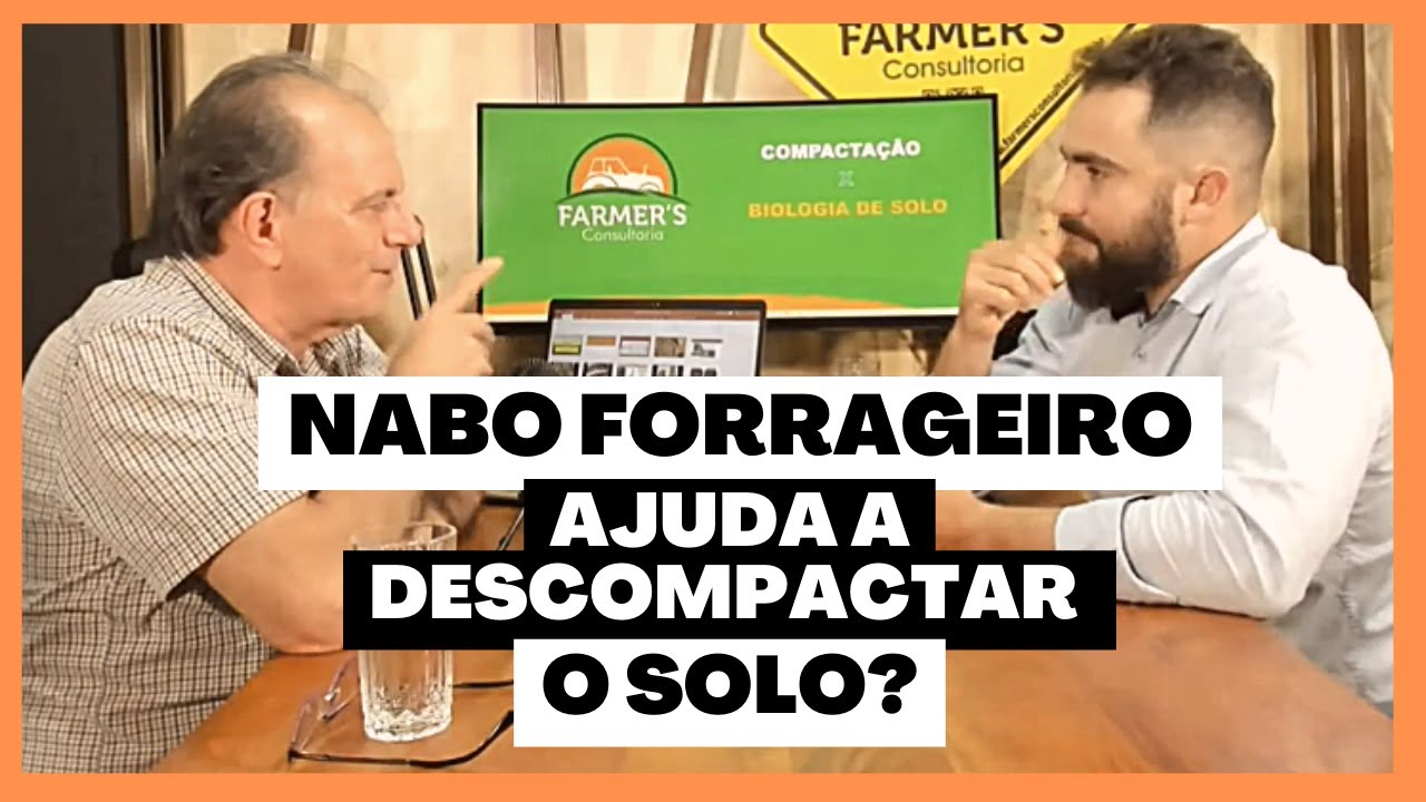 NABO PIVOTANTE E NABO FORRAGEIRO AJUDAM A DESCOMPACTAR O SOLO? | COMPACTAÇÃO DO SOLO X BIOLOGIA