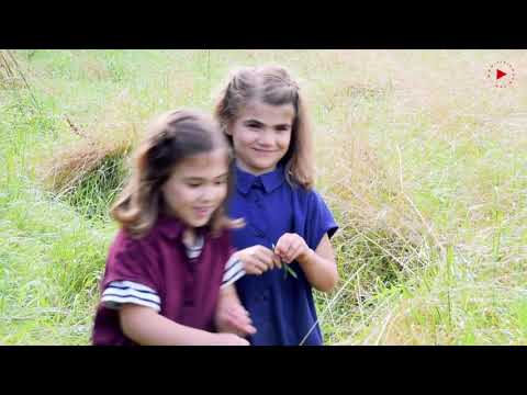 Odille Kleid Schnittmuster video