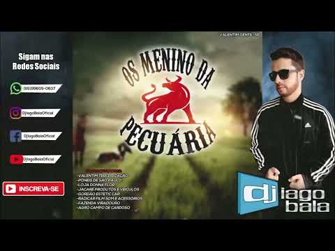 CD OS MENINOS DA PECUÁRIA DE VALENTIM GENTIL-SP - DJ IAGO BALA