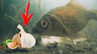 Рыбалка в мае на красивой мечеть