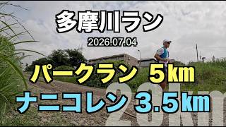 【めざせ320】多摩川でパークラン→ナニコレン! 2026.07.04