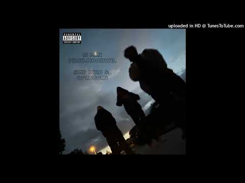 $mb Bird & DPluggin-15 Min prod. HoodWil