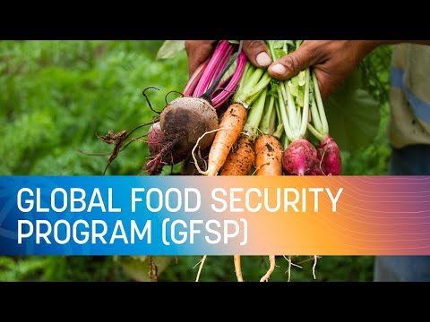 , title : 'COP27 | Global Food Security Program (GFSP)'