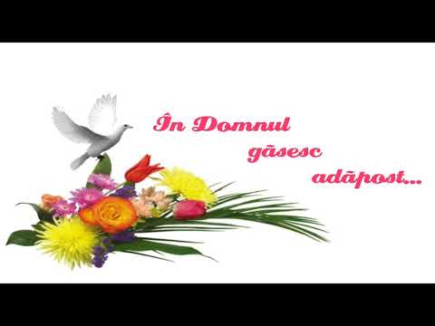 Redeemed ~ Christian Hymn ~ În Domnul găsesc adăpost