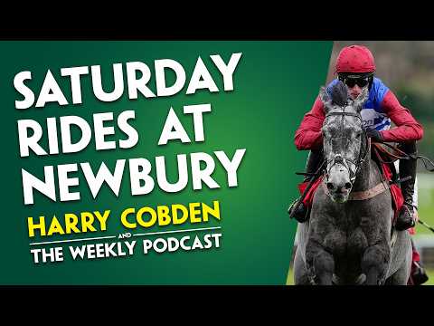 "SHE'D DEFINITELY HAVE A NICE CHANCE" | Harry Cobden | Riding for JP at Cheltenham? | Weekend rides