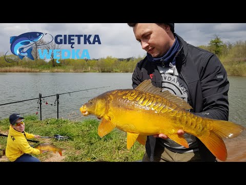 Karpie ze żwirowni i popisowe danie Szefa Kuchni