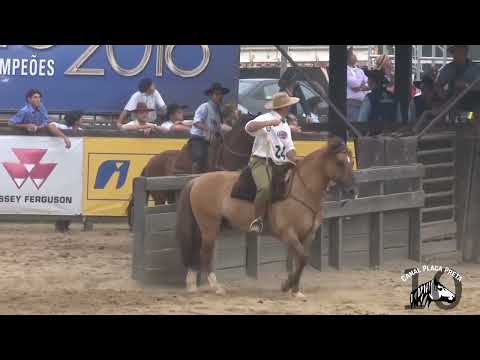 Harmonia Temprano Paleteada - Domingo