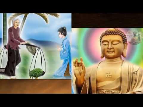 Thể hiện bởi Hân Phạm