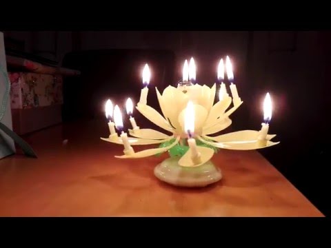 Crazy Chinese Flowering Birthday Music Candle: Indoor Firework Plays Birthday Music