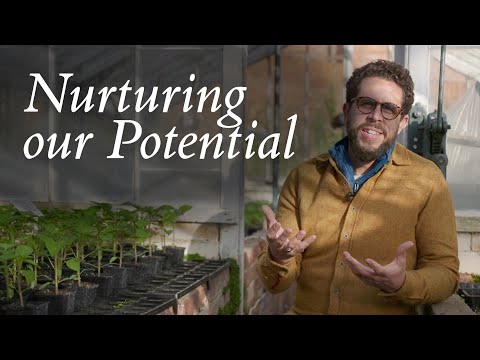 Nurturing Our Potential – Abdallah Rothman: Midday Meditations 3