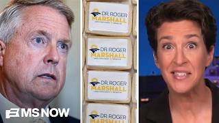 PAYBACK: Deadbeat senator gets public shaming as Republican panic deepens