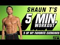 Shaun T 5 Minute Workout 5 Of My Favorite Exercises