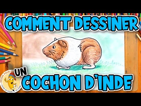 Comment dessiner un COCHON DINDE étape par étape