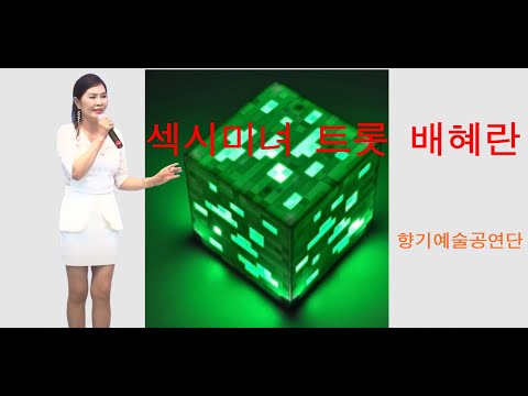 미녀 트롯 배혜란 / 사랑님 /김용임 /2022년 가요페스티벌 /향기예술공연단