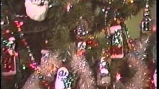 Peter Clark's Christmas Tree Tips Part 2 of 3
