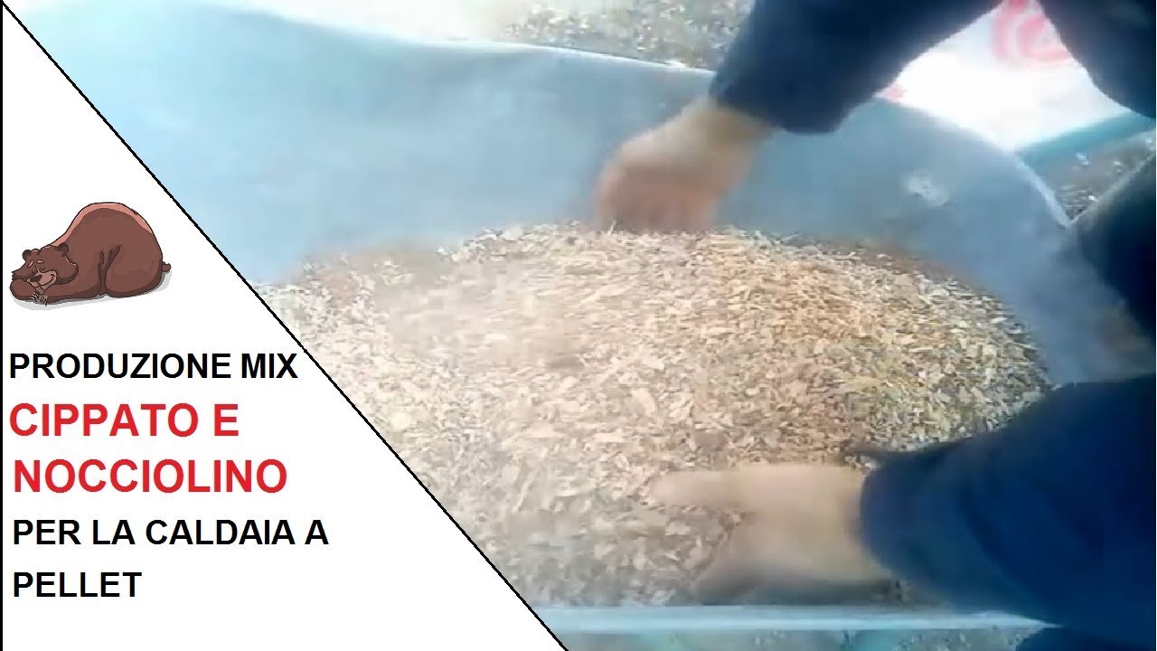 Watch Now Produzione mix cippato e nocciolino per la caldaia a pellet Produzione mix cippato e nocciolino per la caldaia a pellet