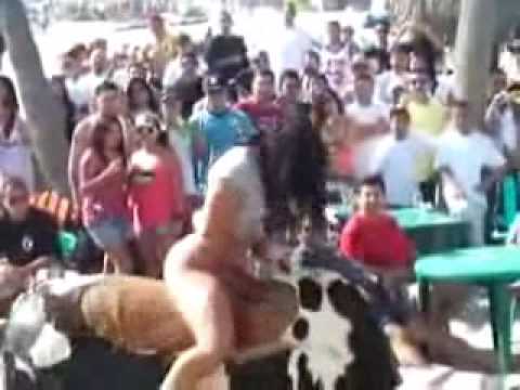 Chica sexy en el toro mecánico