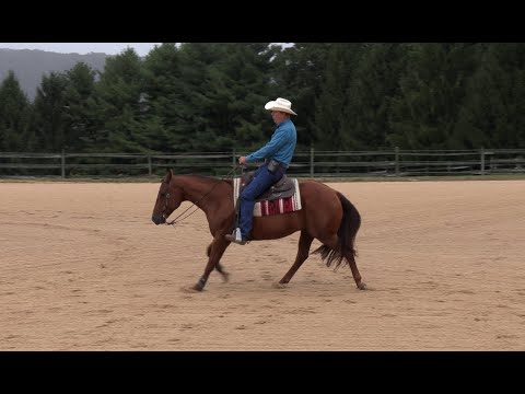 How to Say "Whoa" to Your Horse (Really) - Episode 66 (Herm Gailey: A Lifetime with Horses)