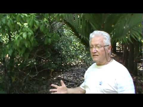 Documentário - O Mariri e a Chacrona - Parte 1 de 3