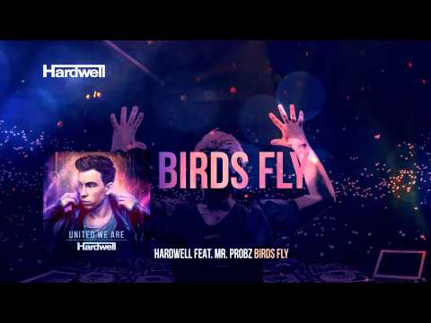 Video thumbnail for Birds Fly